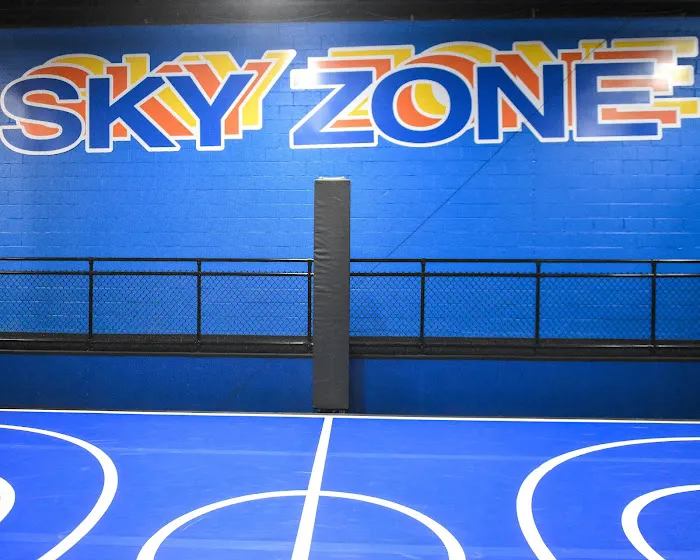 Sky Zone Trampoline Park Picture 7