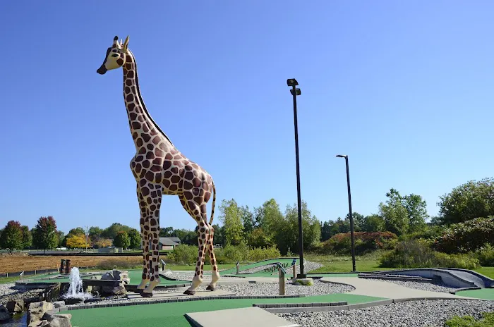 Jungle Joe's Family Fun Center Picture 9