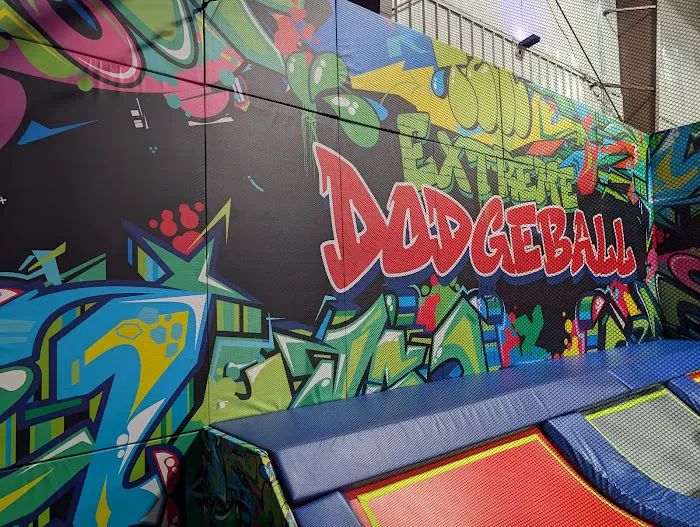 The Arena Trampoline Park Picture 6