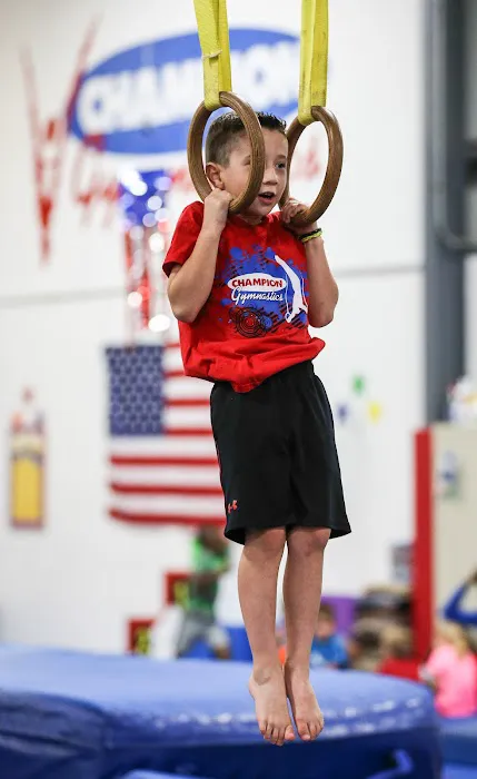 Champion Gymnastics Picture 7