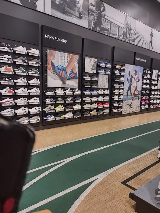 DICK'S Sporting Goods Picture 9