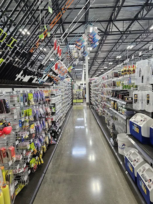 Academy Sports + Outdoors Picture 5