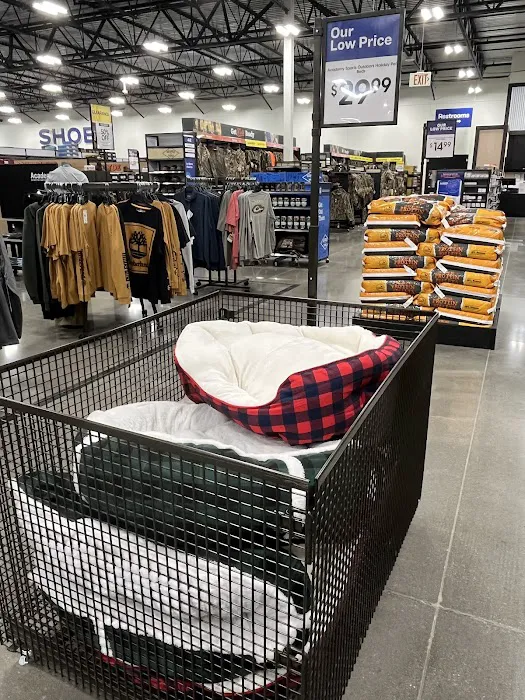 Academy Sports + Outdoors Picture 9