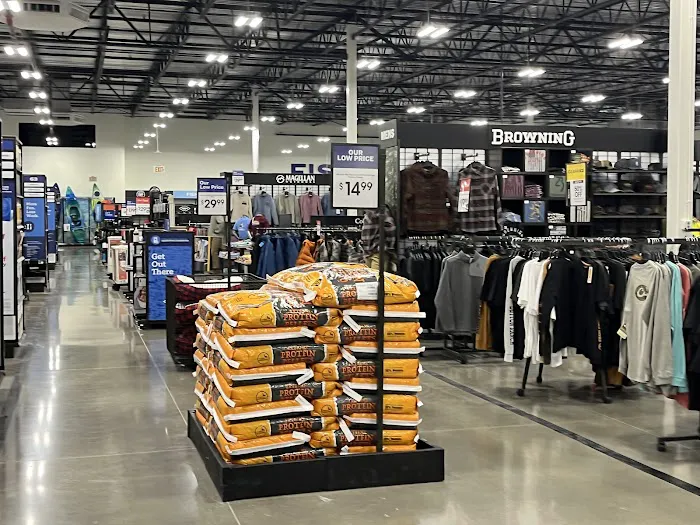 Academy Sports + Outdoors Picture 8