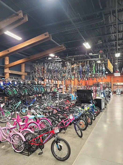 DICK'S Sporting Goods Picture 2