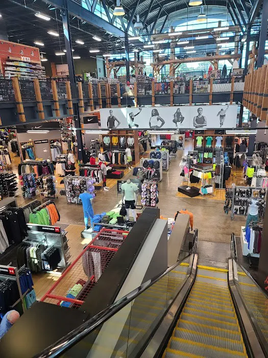 DICK'S Sporting Goods Picture 4