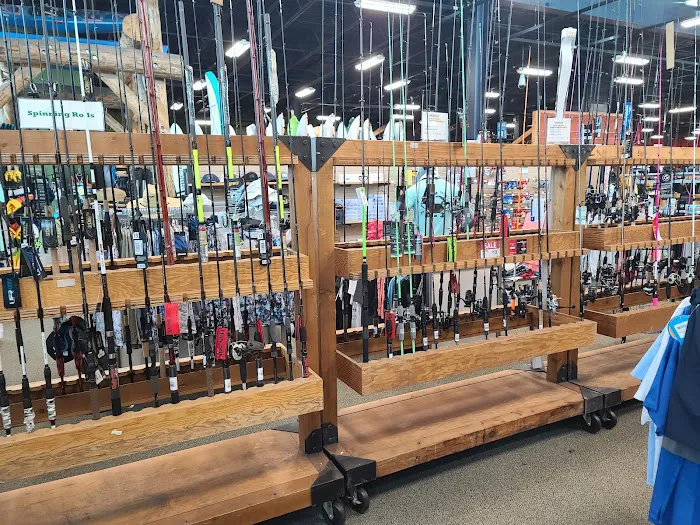 DICK'S Sporting Goods Picture 6