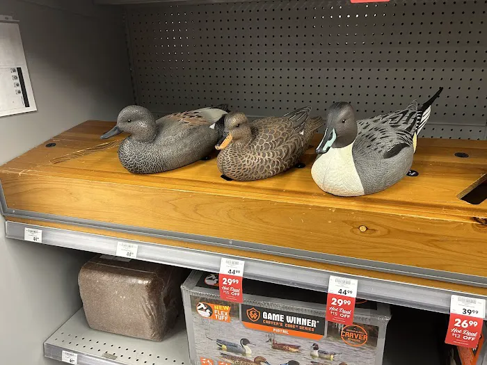 Academy Sports + Outdoors Picture 4