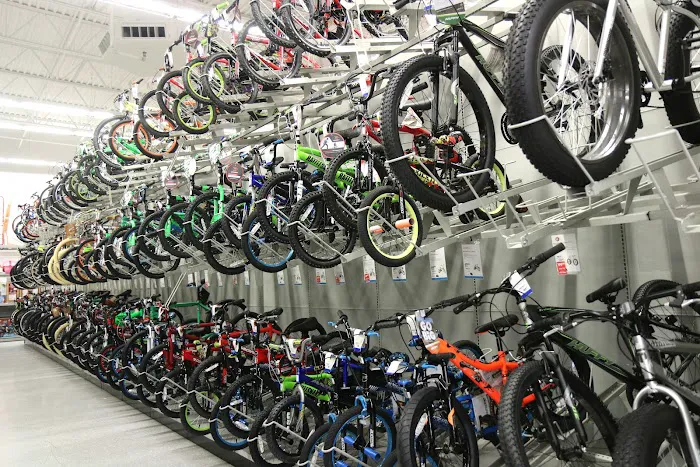 Academy Sports + Outdoors Picture 7