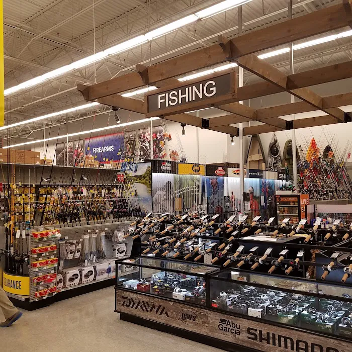 Academy Sports + Outdoors Picture 5