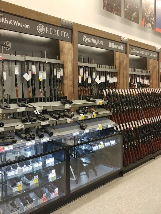 Academy Sports + Outdoors Picture 3