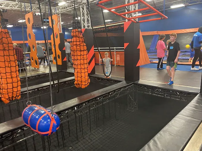 Airborne Adventure Park - Kalamazoo, MI Picture 6