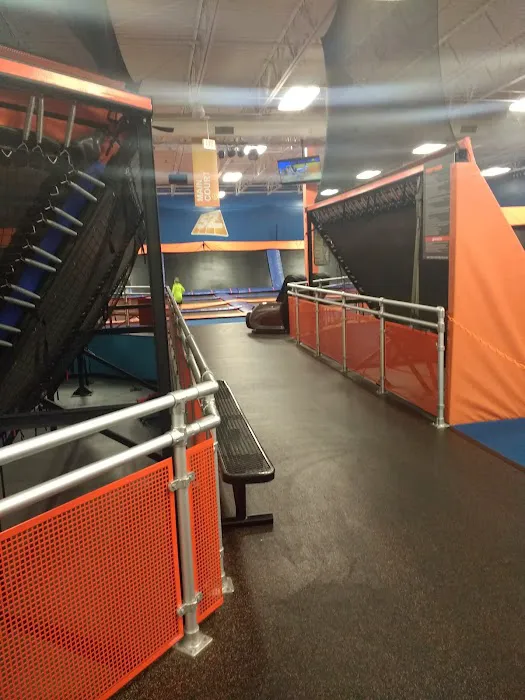 Airborne Adventure Park - Kalamazoo, MI Picture 3