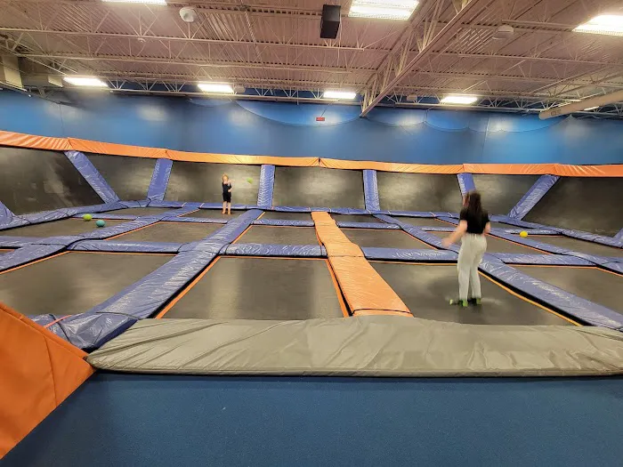 Airborne Adventure Park - Kalamazoo, MI Picture 1