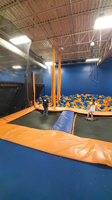 Airborne Adventure Park - Kalamazoo, MI Picture 4