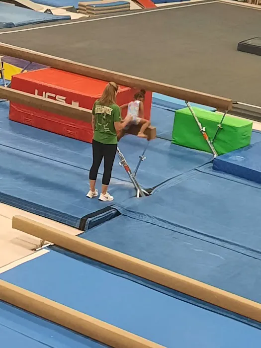Gymnastics Michiana Picture 4