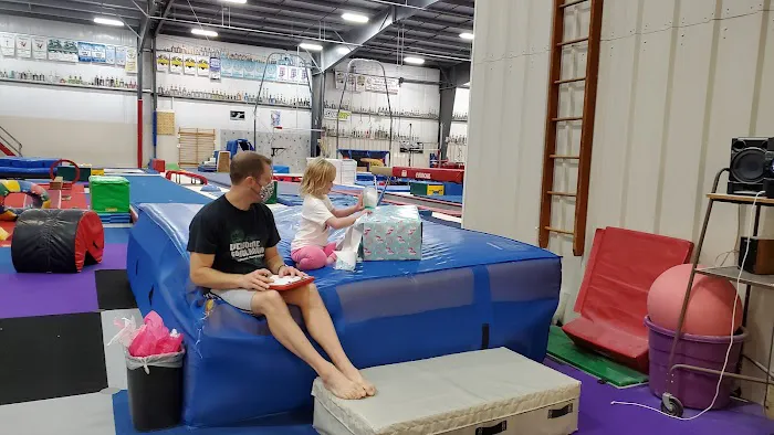 Gymnastics Michiana Picture 3