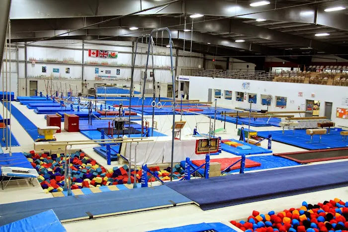 Gymnastics Michiana Picture 8