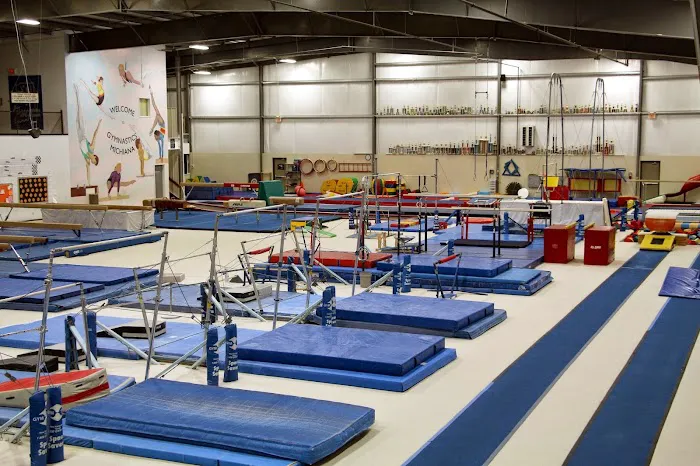 Gymnastics Michiana Picture 2