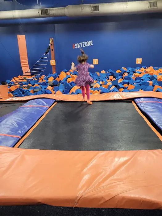 Sky Zone Grand Rapids Picture 2