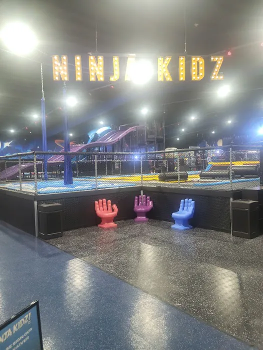 Ninja Kidz Action Park Hammond, IN Picture 5