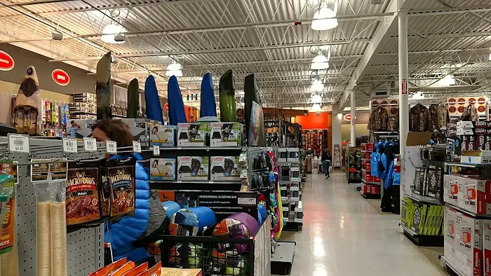 DICK'S Sporting Goods Picture 4