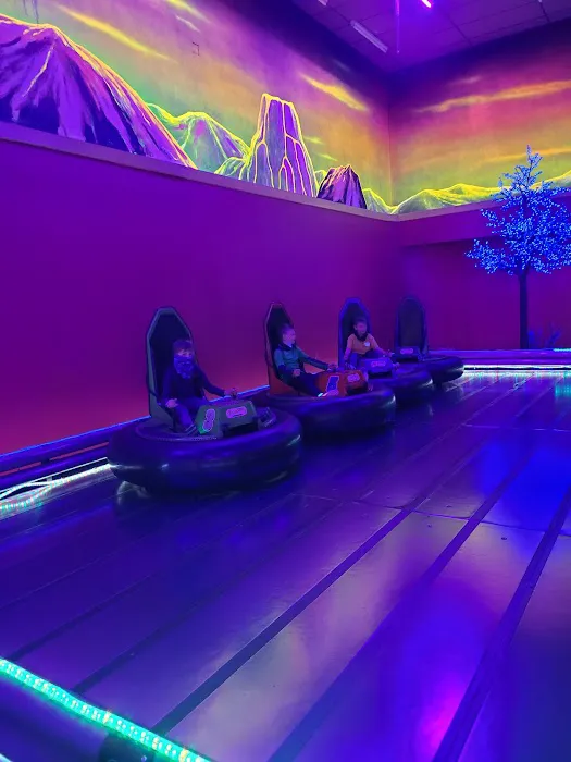 Zap Zone XL Picture 3