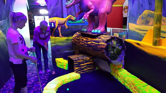 Zap Zone XL Picture 2