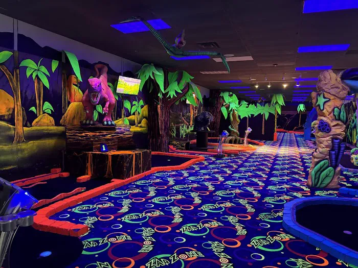 Zap Zone XL Picture 4