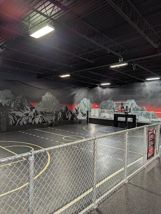 Sky Zone Trampoline Park Picture 9