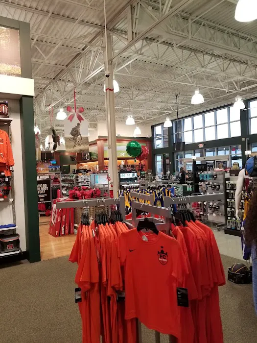 DICK'S Sporting Goods Picture 10