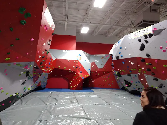 Ninja Citi Adventure Park Picture 3