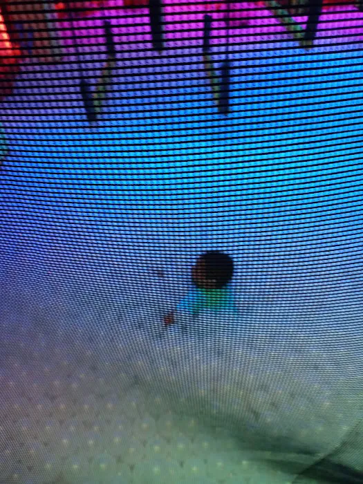 Urban Air Trampoline and Adventure Park Picture 9