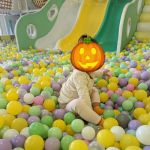 Momi Land Polaris