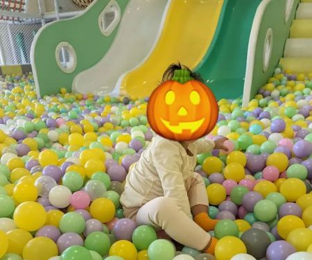 Momi Land Polaris
