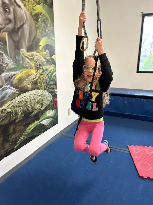 The Jungle Gymnastics Adventure Center Picture 1