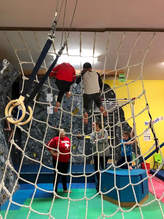 The Jungle Gymnastics Adventure Center Picture 2