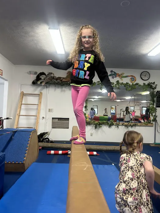 The Jungle Gymnastics Adventure Center Picture 3