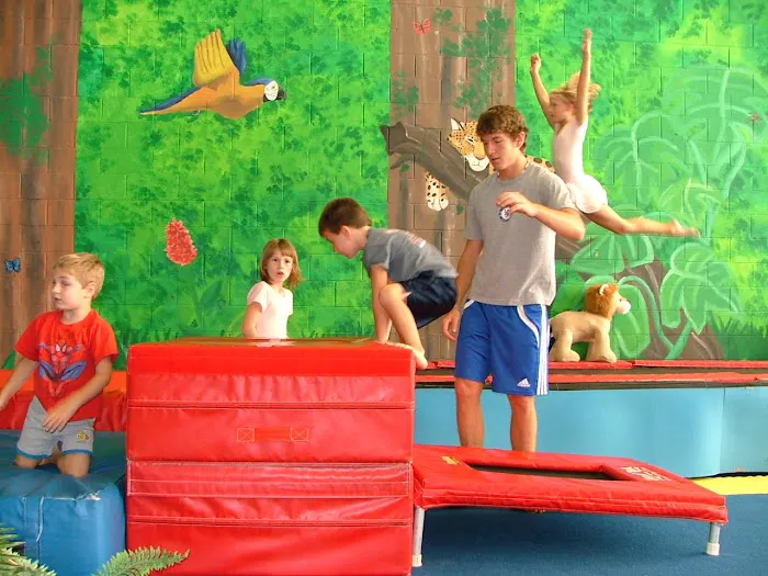 The Jungle Gymnastics Adventure Center Picture 8