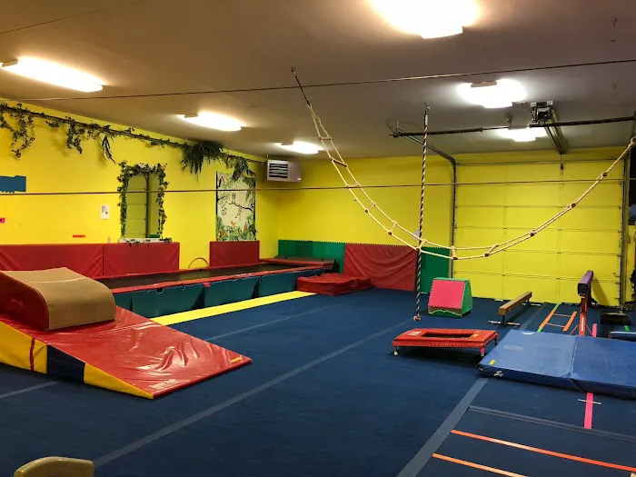 The Jungle Gymnastics Adventure Center Picture 6