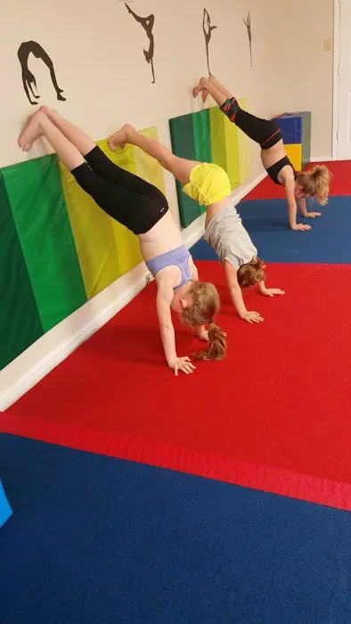 STARS Gym And Cheer Picture 7