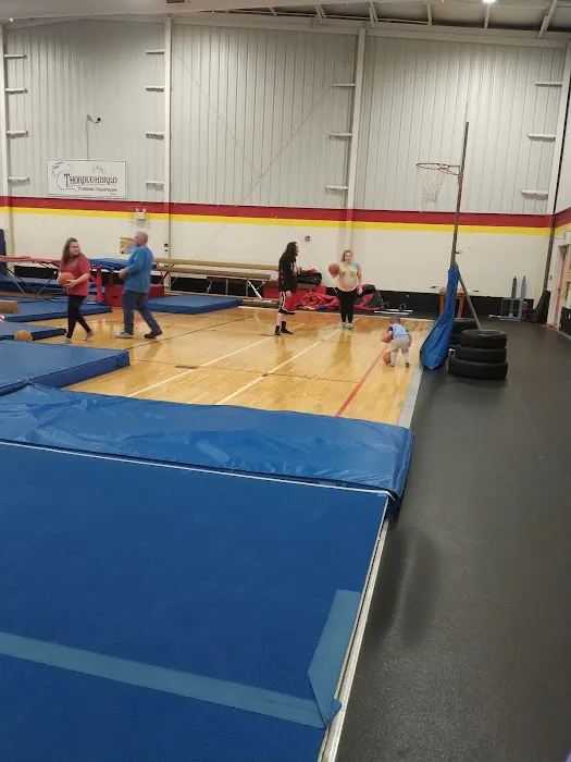 Thoroughbred Tumbling/Trampoline(Gymnastics) Picture 5