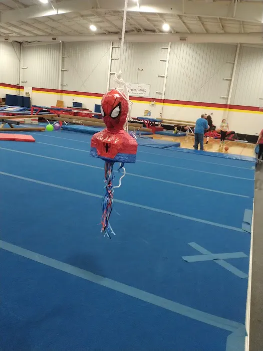 Thoroughbred Tumbling/Trampoline(Gymnastics) Picture 10