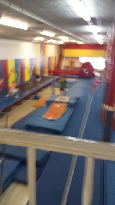 Thoroughbred Tumbling/Trampoline(Gymnastics) Picture 9