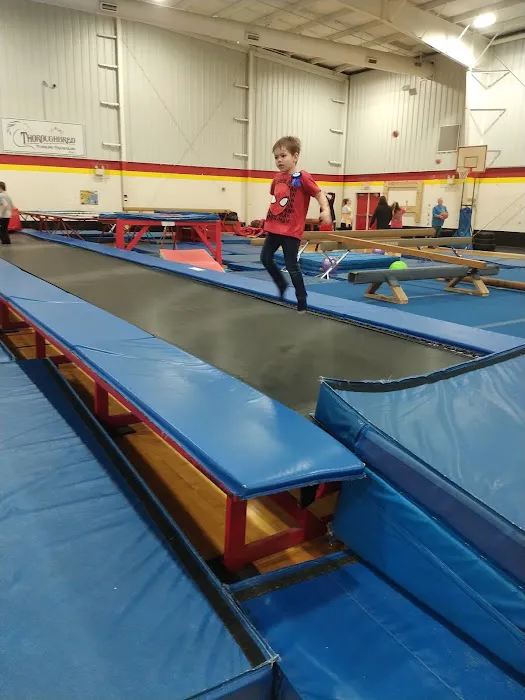 Thoroughbred Tumbling/Trampoline(Gymnastics) Picture 7
