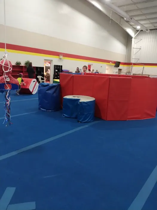 Thoroughbred Tumbling/Trampoline(Gymnastics) Picture 6