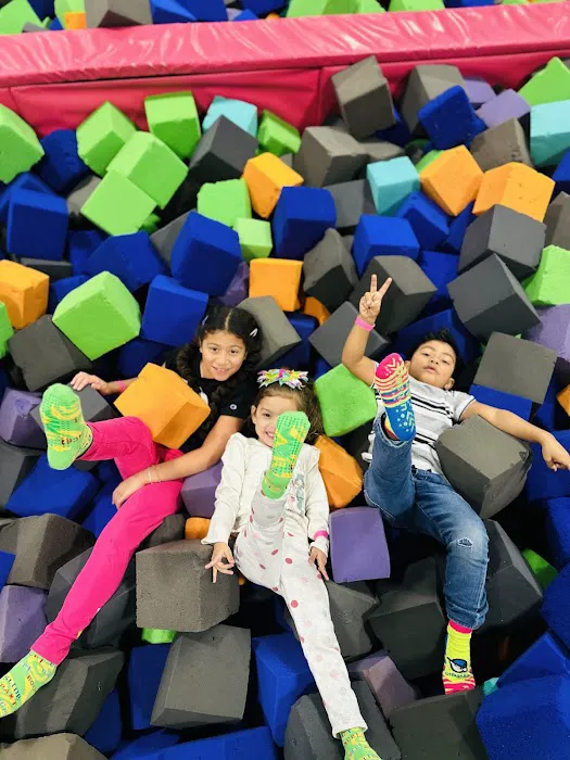 All Air Extreme Trampoline Park Picture 4