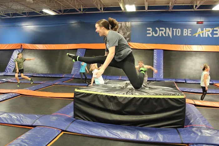 Airborne Adventure Park - Taylor, MI Picture 4