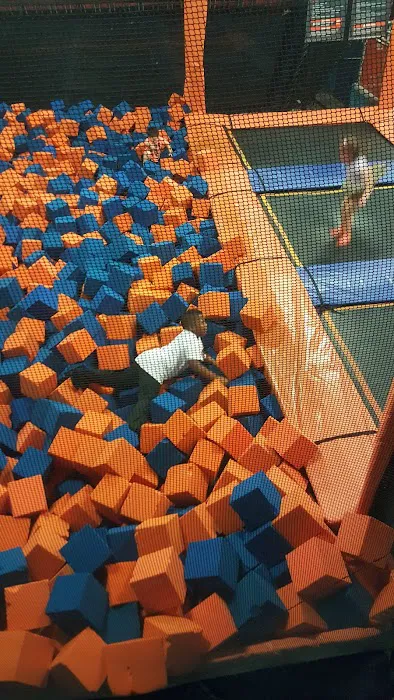 Airborne Adventure Park - Taylor, MI Picture 6