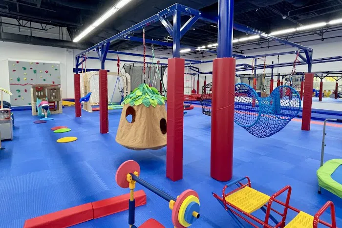 We Rock The Spectrum Kids Gym Novi Picture 9